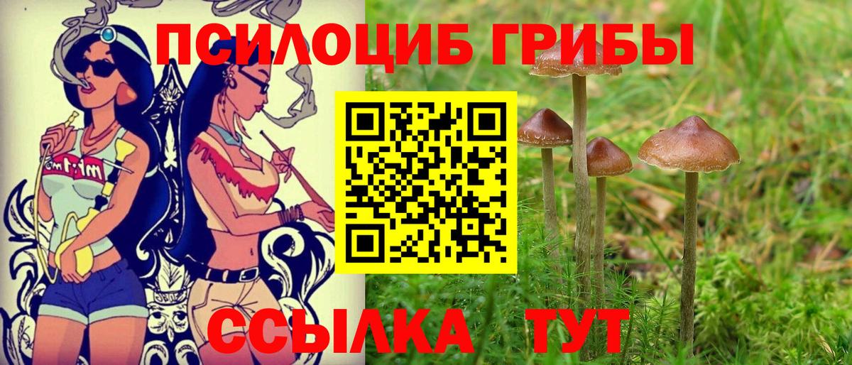 Галлюциногенные грибы прущие грибы  Псилоцибиновые грибы мухоморы  даркнет сайт  Воркута  Вход с VPN 
