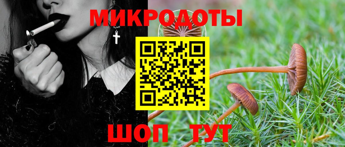 Псилоцибиновые грибы прущие грибы Воркута